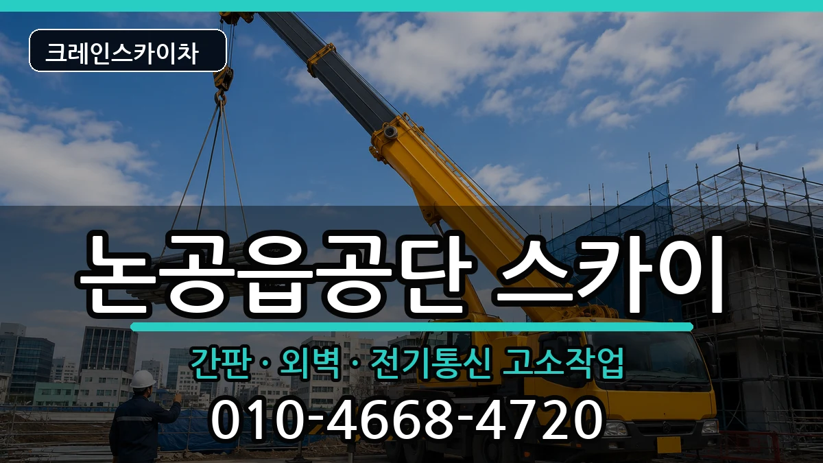 대구광역시달성군논공읍공단 스카이 대구광역시달성군논공읍공단 스카이 장비 처리 안내 이미지 1