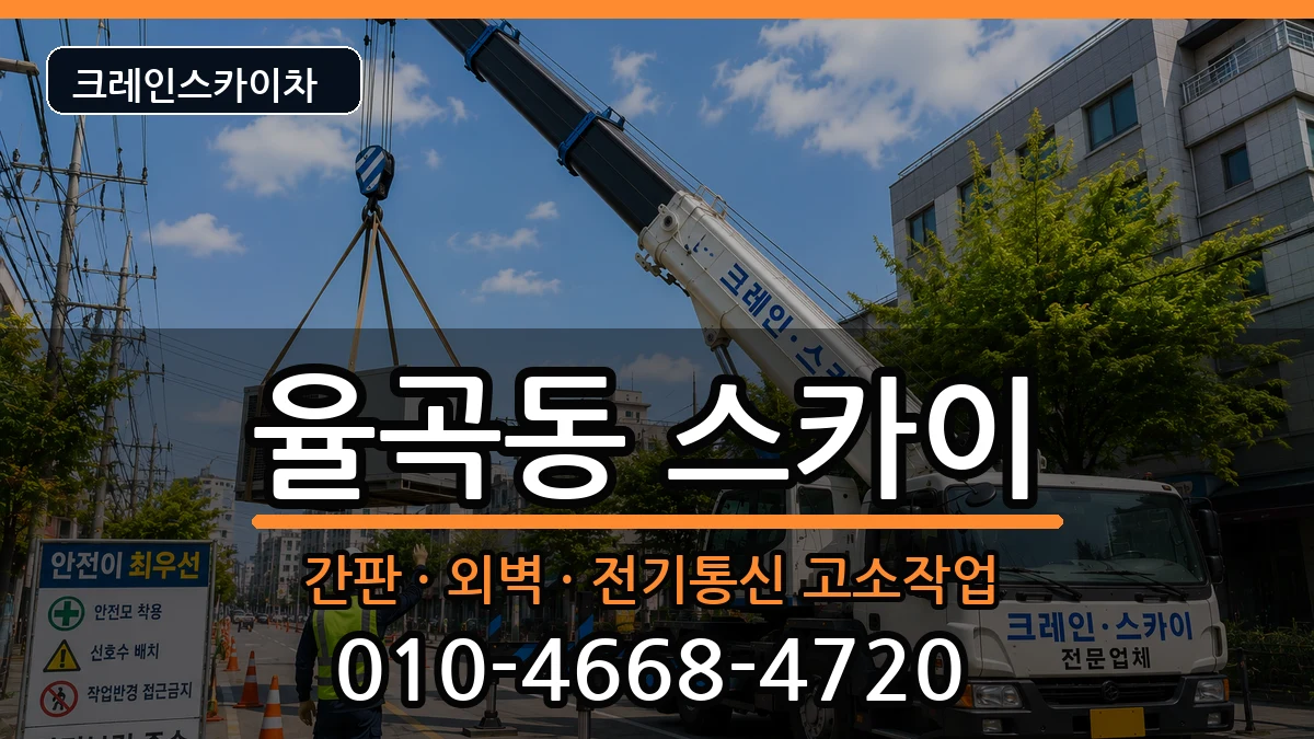경상북도김천시율곡동 스카이 경상북도김천시율곡동 스카이 장비 처리 안내 이미지 3