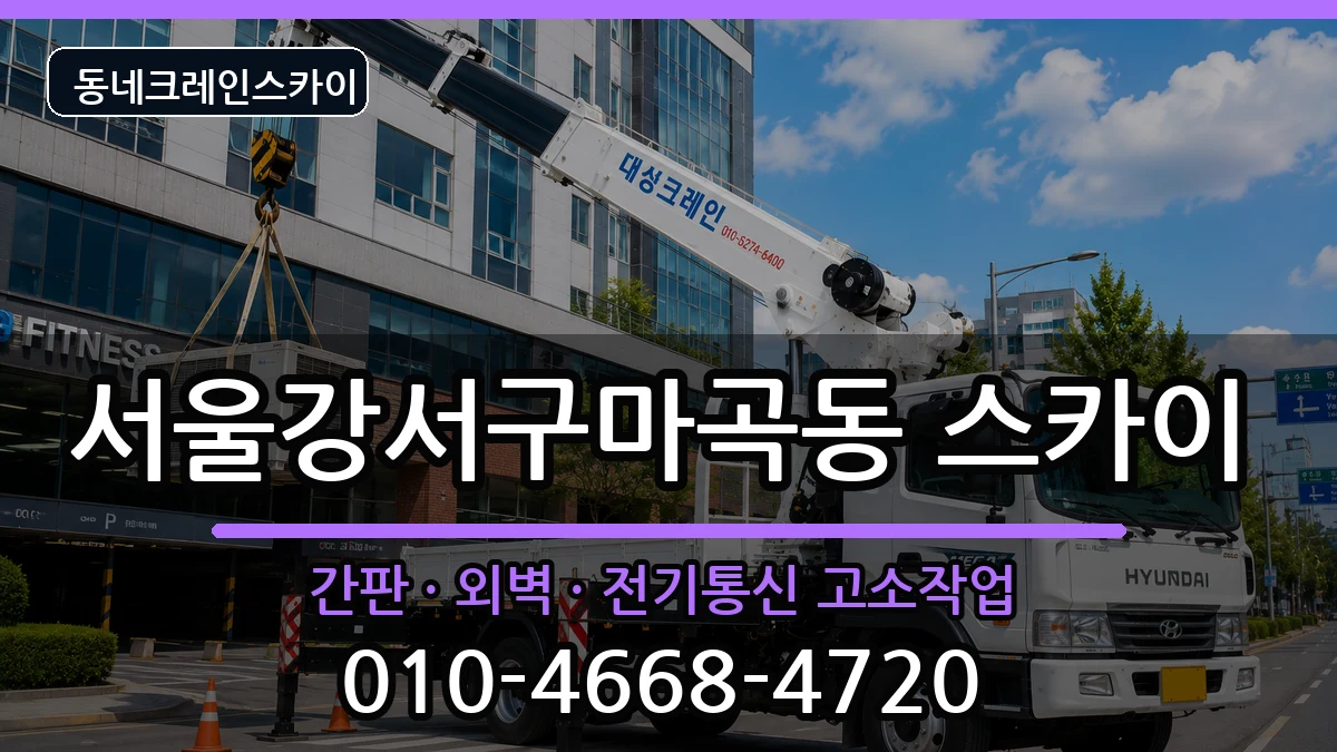 서울강서구마곡동  스카이 정보형