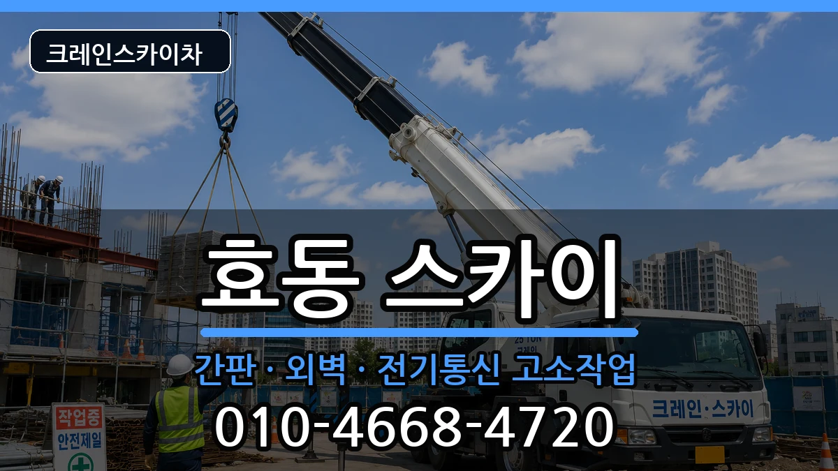 대전광역시동구효동 스카이 대전광역시동구효동 스카이 장비 처리 안내 이미지 2
