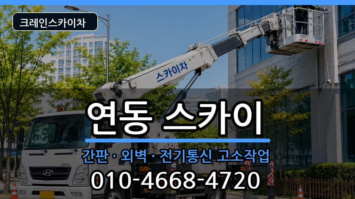 제주특별자치도제주시연동 스카이 제주특별자치도제주시연동 스카이 장비 처리 안내 이미지 2